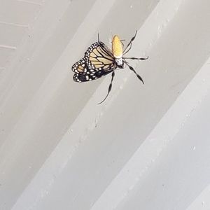 Meet your Posher, Scott